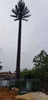 Καλυμμένος πύργος φοινίκων πεύκων επικοινωνίας ύψος 0m - 80m