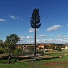 Γαλβανισμένο χάλυβα μονοπωλιακό δέντρο πεύκων κάλυψης πύργων κινητό