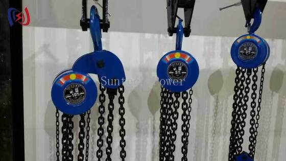 Reliable Manual Chain Hoist with 5-200KN Rated Load, Precision Gear System, and Automatic Load Braking for Heavy Lifting